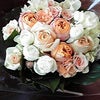 ☆ＰＯＵＳＳＥ☆の画像