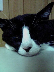 2008111623150000.jpg