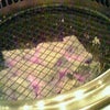 焼肉　大将軍　富山の画像