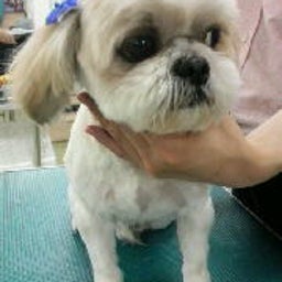 ☆☆☆JUN★LIFE☆☆☆-2009020619290000.jpg