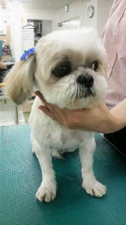 ☆☆☆JUN★LIFE☆☆☆-2009020619290000.jpg