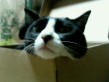 200608080651000.jpg
