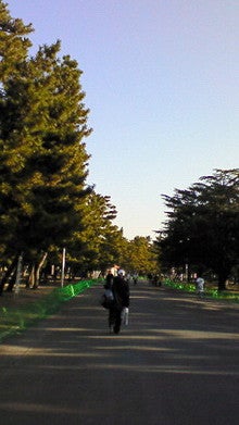 image.jpg