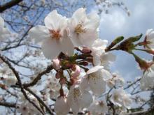 菊池公園④