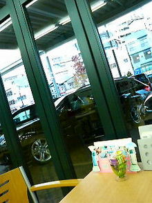 白檀の庭-200812061619000.jpg