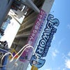 ★鴨川シーワールド★の画像