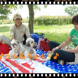 画像 ２００８年　遠足♪木曽三川公園！！ の記事より 3つ目