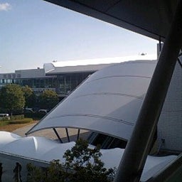 画像 紅葉？ の記事より 11つ目
