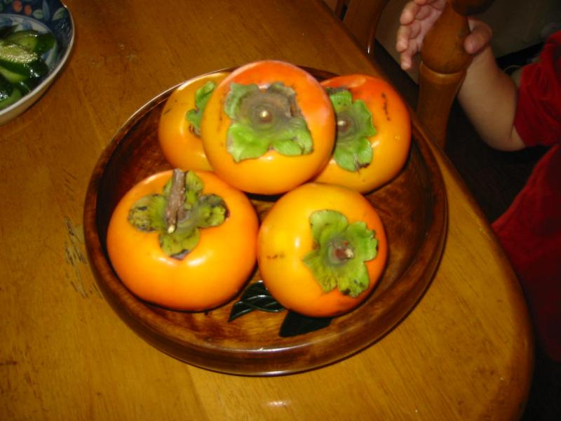 庭の柿の記事画像