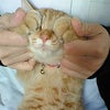 第②話。の画像