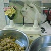 それから。。の画像