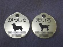 ハチと蓮華-クリスマスプレゼント