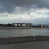 いきなりですよの画像