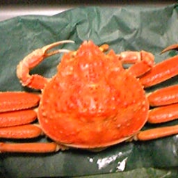 香箱蟹