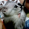 超超超おめでたい日☆☆の画像