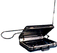 case
