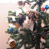 メリークリスマスの画像