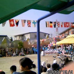 081004_085527.JPG