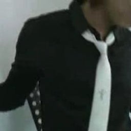 画像 今日も新しい夢を見る の記事より 5つ目