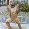 亀有の画像