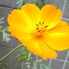 冬ばーじょんMENUの画像