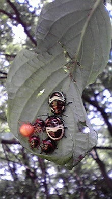 2008081112480000.jpg