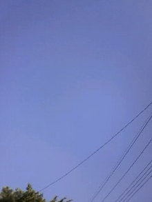 071010_0919~01.JPG