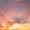 茜色の・・・の画像