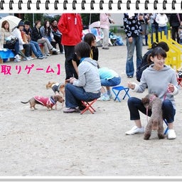 画像 【わんわん運動会！！ｉｎ２００８】Part２♪ の記事より 61つ目