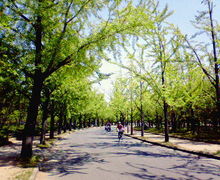 200704291244000.jpg