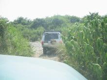 SUV_BACK2