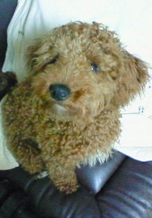 NEC_0124.jpg