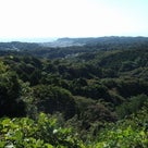 鎌倉ハイキング③　天園ハイキングコース　瑞泉寺～茶屋の記事より