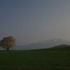 Good morningの画像