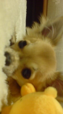 20070303233145.jpg