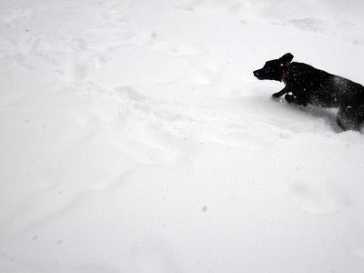 Mizuのアメリカ暮らし☆ほのぼの日記