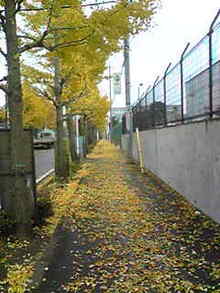 Image002.jpg