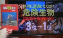 simploop ハツヤタダヒコ blog　　　　  「ハチブロ」　-090129_205323.JPG
