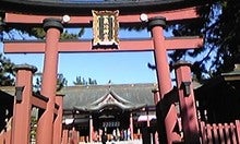 月光-081216_101445_ed.jpg