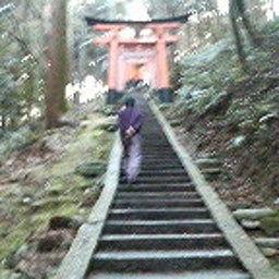 ハチの日記-200902121556000.jpg