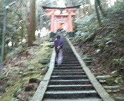 ハチの日記-200902121556000.jpg