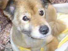 20080405175819.jpg