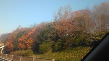 マルコのブログ-081206_090628.jpg