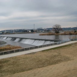 canolog