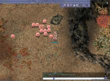 この後CRでまとめて殺戮