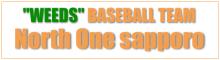 team_logo