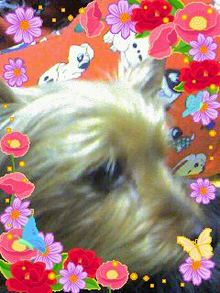 060210_2105~0001.jpg