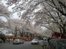 小林牧場2006