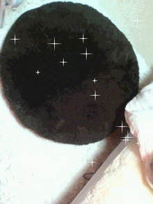 かなの痩せて綺麗になるんだ日記(｀・ω・´)-20090113161111.jpg