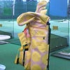 Golf lessonの画像